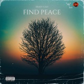 FIND PEACE artwork