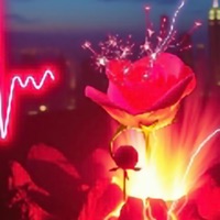 Tumultuous Glitch - Is that real love?