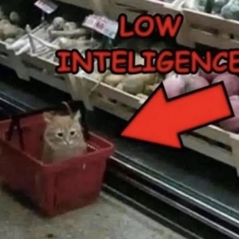 walkin round the city (silly ass song) ap47hyc0r3