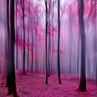 Running In The Forest - Single - Menumas