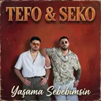 YASAMA SEBEBIMSIN — TEFO & SEKO