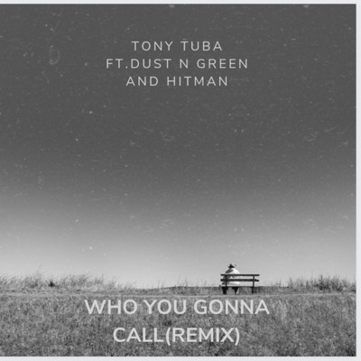 Who you gonna call (feat. Hitman) [Remix] - Single