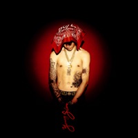 YOUNG SLIME - Il Nene De Oro