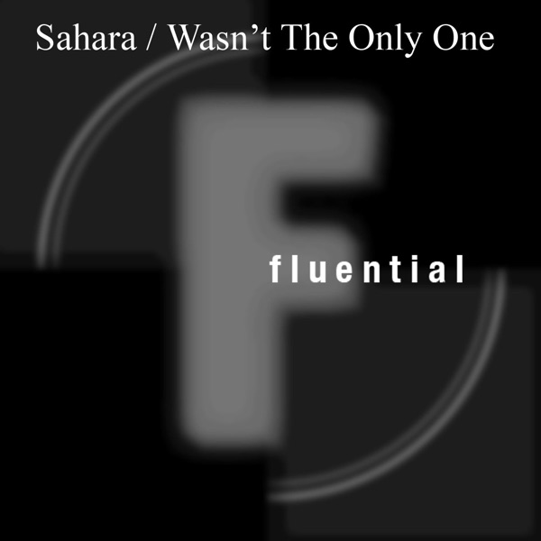 Wasn't the Only One - EP