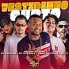 Vestidinho Curto (feat. Mc JV) - Single