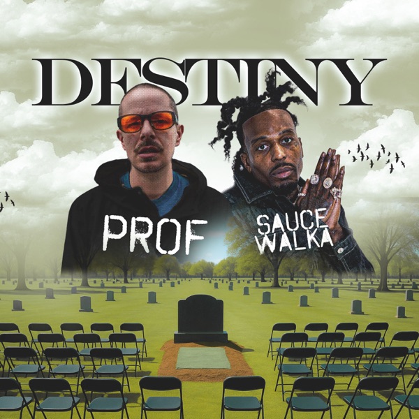 Destiny - Single