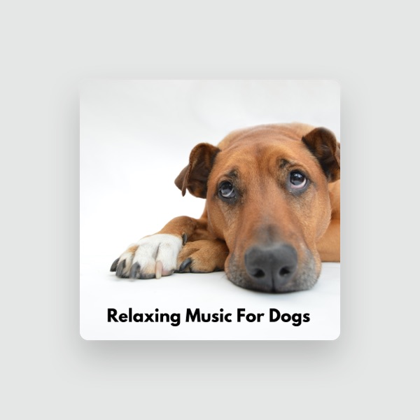Dog Radio 1's avatar