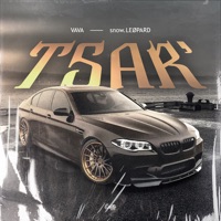 Tsar' - Single - VAVA & Project MEDEO