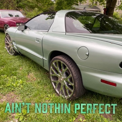 AIN'T NOTHIN PERFECT - Single