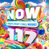 Various Artists - NOW That's What I Call Music! 117 artwork