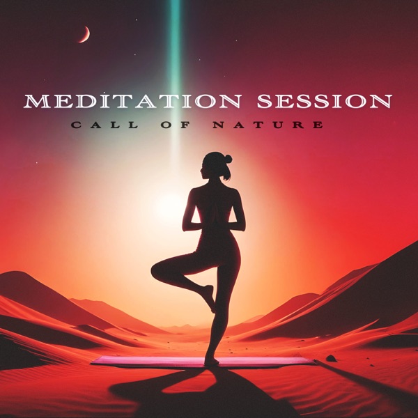 Meditation Session