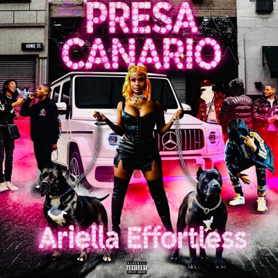 Presa Canario - Single