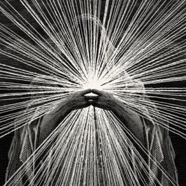 Steve Francis Frank Gambit