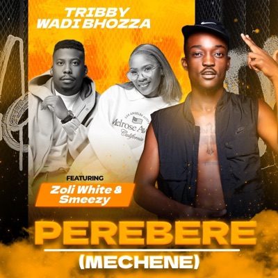 Perebere (Mechene) [feat. Zoli White Smoke & SmeezyOn The Beat] - Single