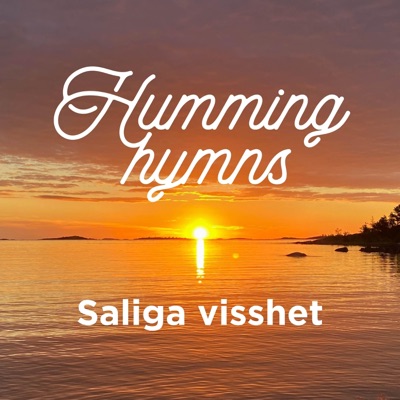 Saliga visshet - Single