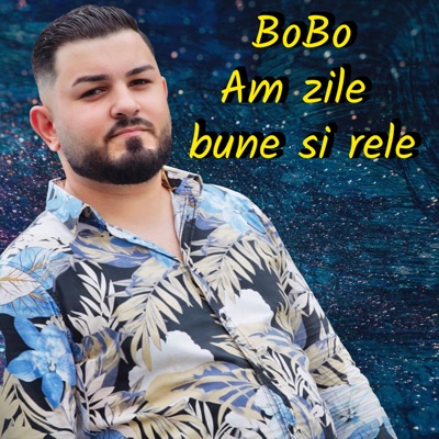Song - Am zile bune si rele - Bobo