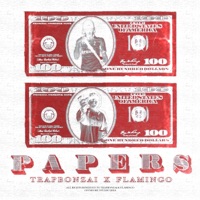 PAPERS - EP - Flamingo Orion & trapbonzai