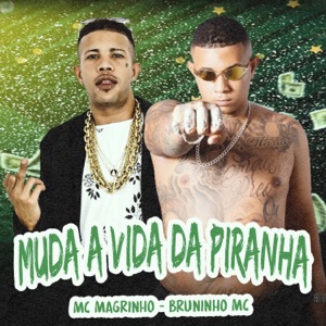 Muda a Vida da Piranha (feat. Mc Magrinho)