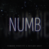 Numb - Tommee Profitt & Skylar Grey