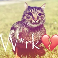 Indigo Flow - Single - Astradash