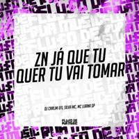 Zn Já Que Tu Quer Tu Vai Tomar - Single - DJ CARLIM 011, Silva MC & MC Luana SP