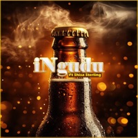 iNgudu (feat. ShisaSterling) - Single - Abangani Bethu