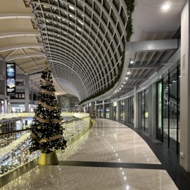 Wnt 2 Sht STONEY2COLD