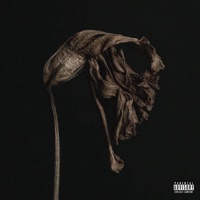 Pikkuasia - Single - Antisankari & Hahmo