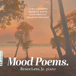 Mood Poems. - Bruce Leto, Jr. Cover Art