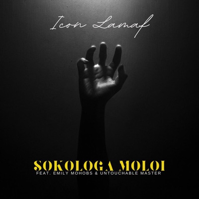 Sokologa Moloi (feat. Emily Mohobs & Untouchable MasterZA) - Single