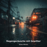 Regengeräusche mit Gewitter - Regengeräusche
