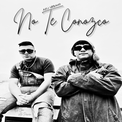 No Te Conozco (feat. Ale Pereira) - Single