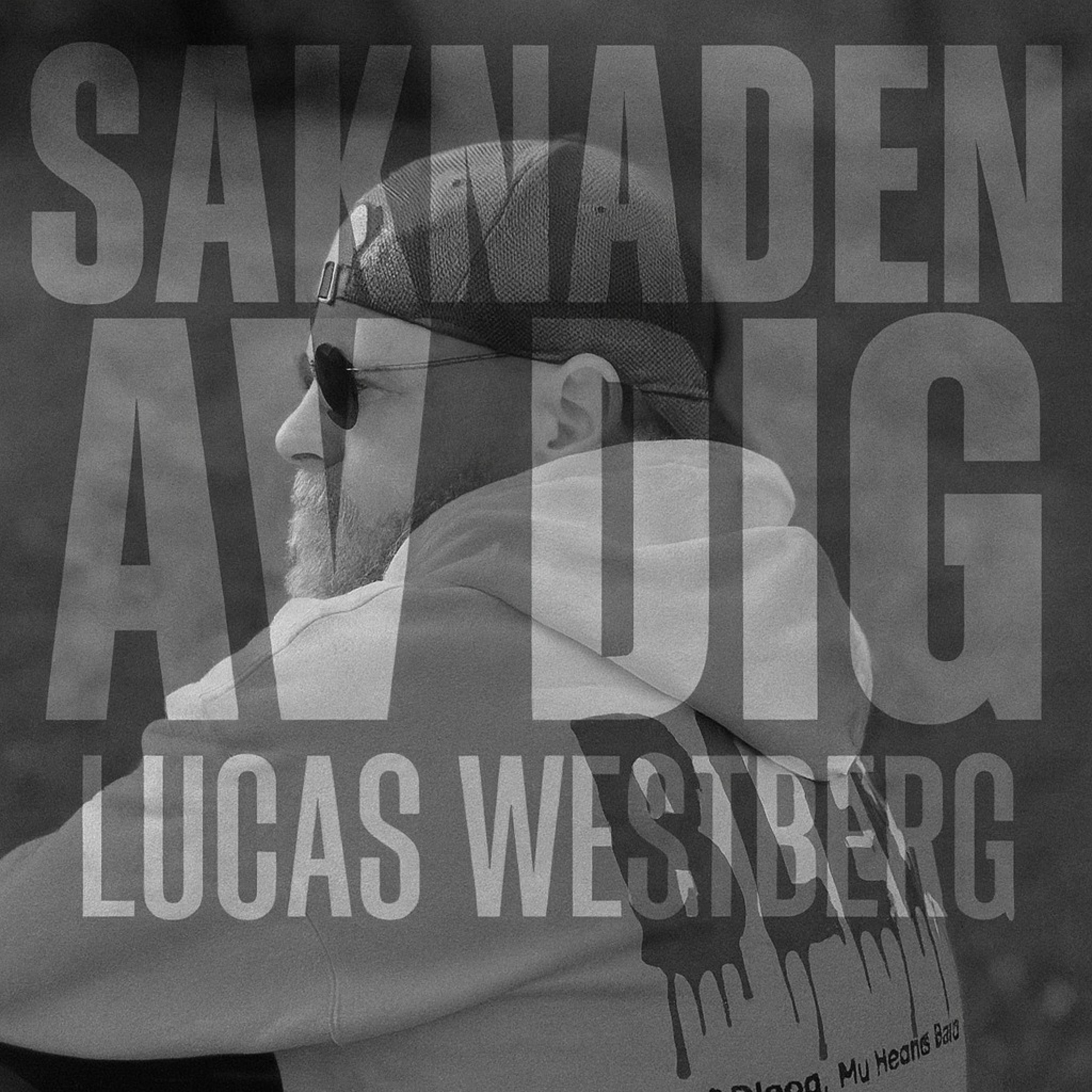 Saknaden Av Dig - Single