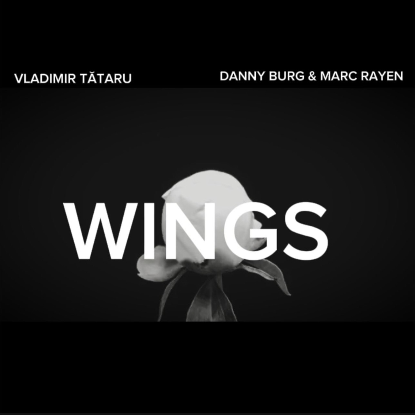 WINGS - Single