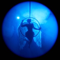 Songbird - Single - Sterfry