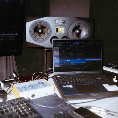 ambivalence - Single