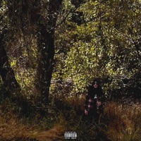 Earl Sweatshirt - Single - Damien Luci