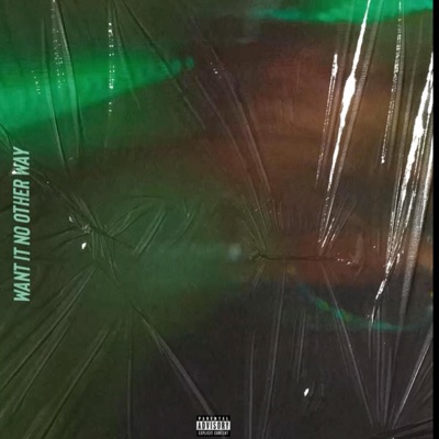 Want It No Other Way (feat. LoveKaizen) - Single