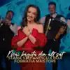 Stana Stepanescu - Măi băgiță din alt sat