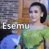 Anisa Salma - Esemu