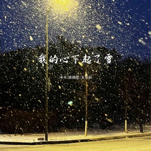 我的心下起了雪 - Single
