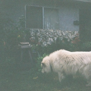 time machine - Single