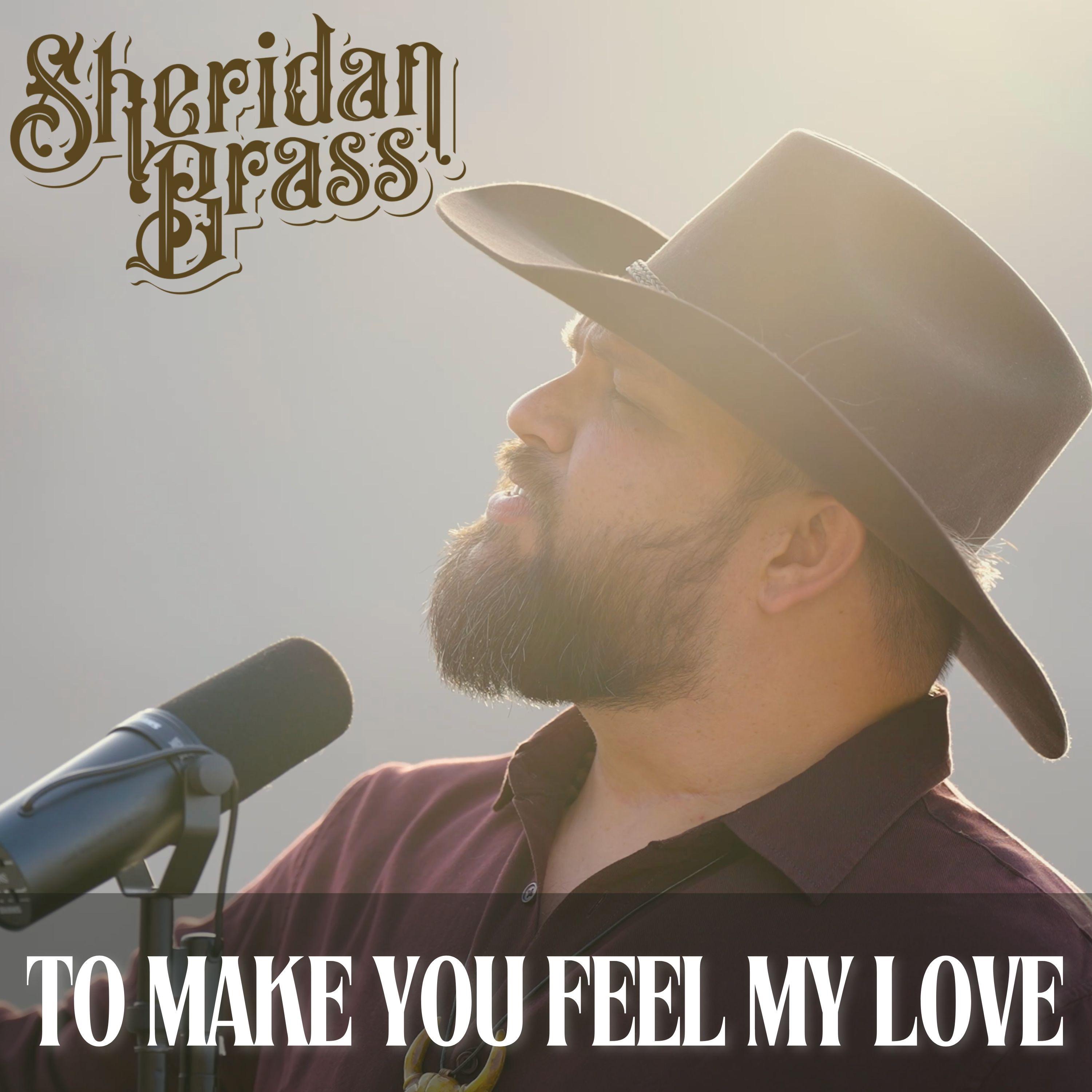 To Make You Feel My Love - Single