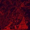 Weber - Atredes lyrics