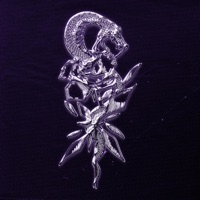 SCHEGGE - Single - Manesi