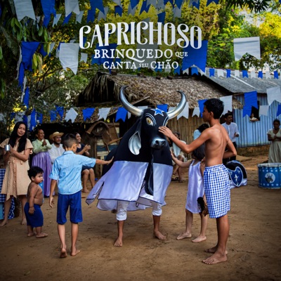 Brinquedo Que Canta Seu Chão