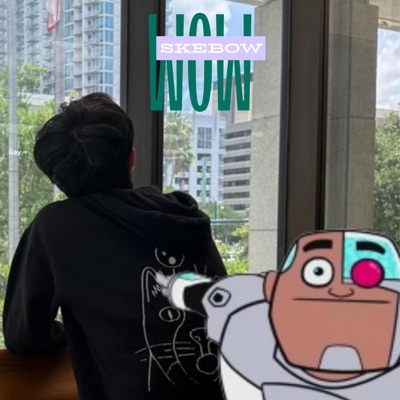 WOW (feat. Ca4yn) - Single