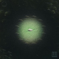 Nidi - Single - Sameface