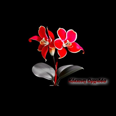 Kokkinh Orxidea - Single