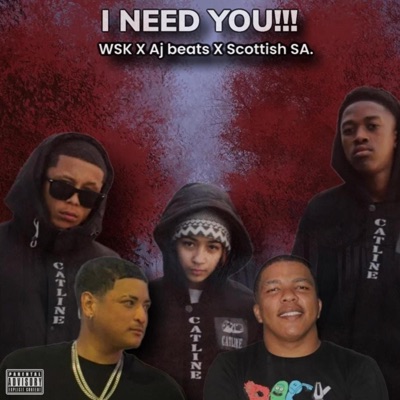 I Need You (feat. Seleli the Vocalist, Woza Carlito, Aj Beats & Kleintjie) - Single